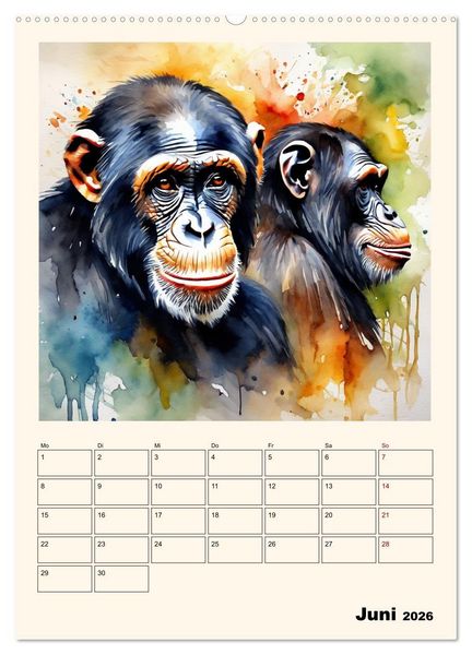 Produktbild: Schimpansen & Gorillas (Wandkalender 2026 DIN A2 hoch), CALVENDO Monatskalender