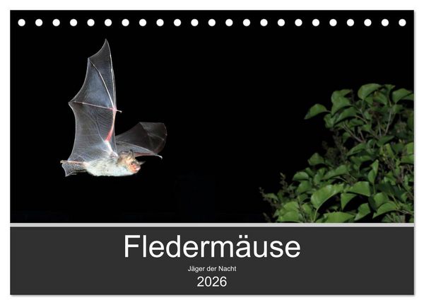 Produktbild: Flederm&auml;use - J&auml;ger der Nacht (Tischkalender 2026 DIN A5 quer), CALVENDO Monatskalender