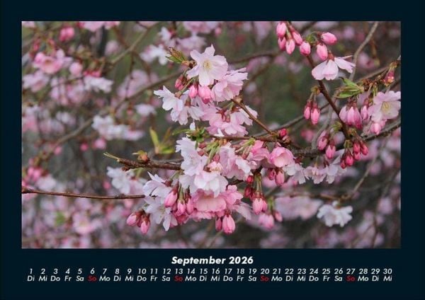 Produktbild: Blumenzauber 2026 Fotokalender DIN A4