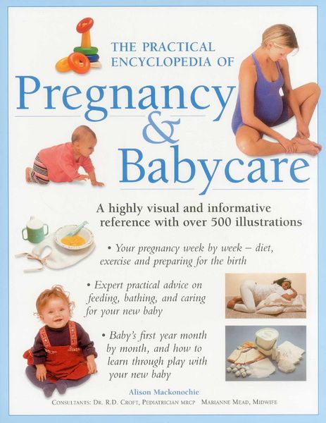 Produktbild: The Practical Encyclopedia of Pregnancy & Babycare
