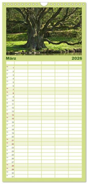 Produktbild: Familienplaner 2026 - Baum-Variationen mit 5 Spalten (Wandkalender, 21 x 45 cm) CALVENDO
