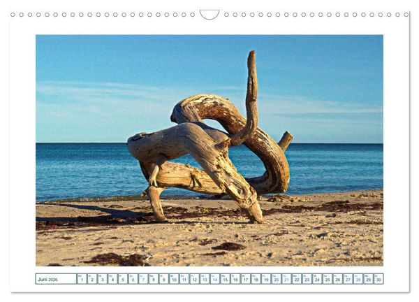 Produktbild: Der Weststrand am Dar&szlig; (Wandkalender 2026 DIN A3 quer), CALVENDO Monatskalender