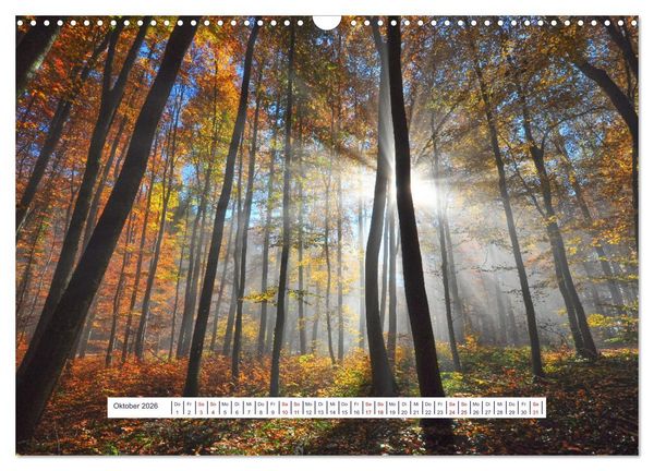 Produktbild: Vom Augenblick der Stille 2026 (Wandkalender 2026 DIN A3 quer), CALVENDO Monatskalender