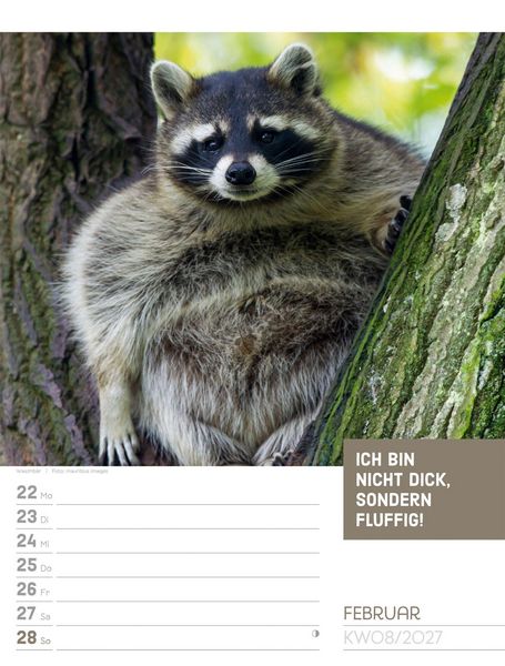 Produktbild: Tierisch Spr&uuml;chekalender Wochenplaner 2027