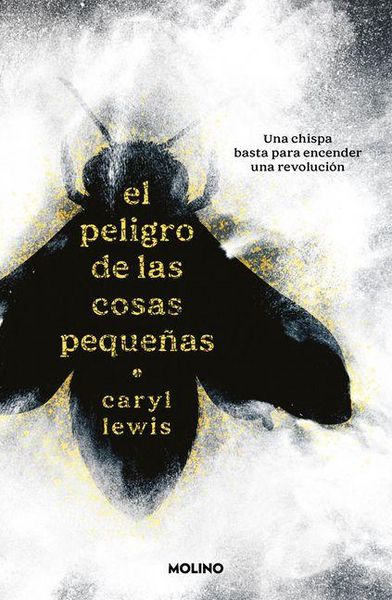 Produktbild: El Peligro de Las Cosas Peque&ntilde;as / The Danger of Small Things