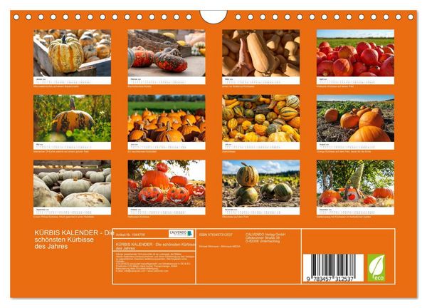 Produktbild: K&Uuml;RBIS KALENDER - Die sch&ouml;nsten K&uuml;rbisse des Jahres (Wandkalender 2026 DIN A4 quer), CALVENDO Monatskalender