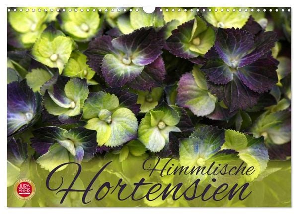 Himmlische Hortensien (Wandkalender 2026 DIN A3 quer), CALVENDO Monatskalender
