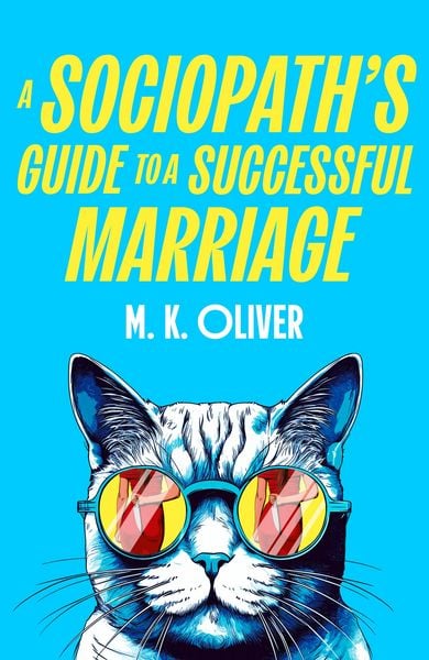 Produktbild: SOCIOPATHS GUIDE TO SUCCESS HB
