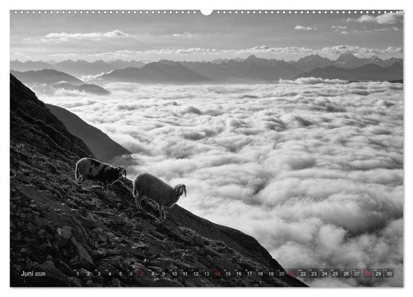 Produktbild: Bergsucht 2026 (hochwertiger Premium Wandkalender 2026 DIN A2 quer), Kunstdruck in Hochglanz