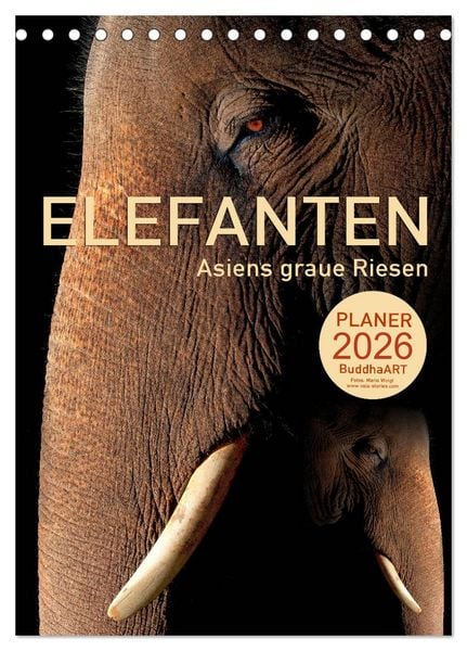 Produktbild: ELEFANTEN - Asiens graue Riesen (Tischkalender 2026 DIN A5 hoch), CALVENDO Monatskalender