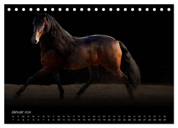 Produktbild: Magische Momente - Pferde Horses Caballos (Tischkalender 2026 DIN A5 quer), CALVENDO Monatskalender