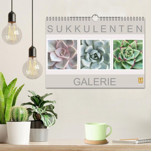 Produktbild: Sukkulenten Galerie (Wandkalender 2026 DIN A4 quer), CALVENDO Monatskalender