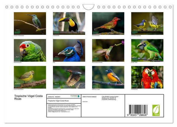 Produktbild: Tropische V&ouml;gel Costa Ricas (Wandkalender 2026 DIN A4 quer), CALVENDO Monatskalender
