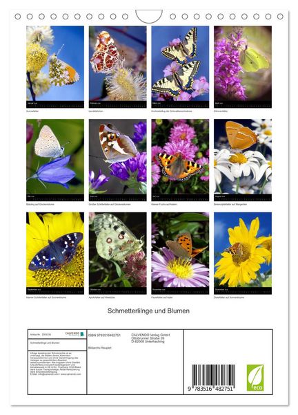 Produktbild: Schmetterlilnge und Blumen (Wandkalender 2026 DIN A4 hoch), CALVENDO Monatskalender