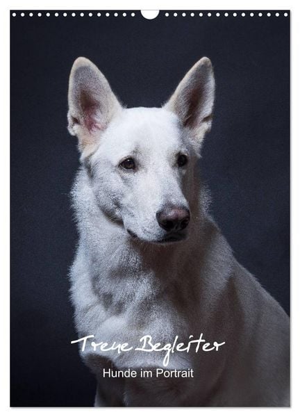 Produktbild: Treue Wegbegleiter, Hunde im Portrait. (Wandkalender 2026 DIN A3 hoch), CALVENDO Monatskalender