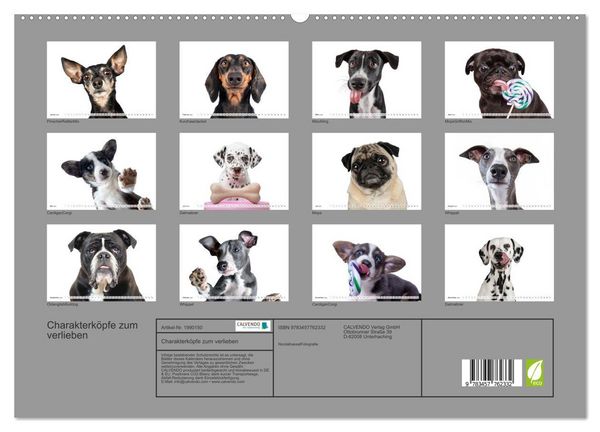 Produktbild: Charakterk&ouml;pfe zum verlieben (Wandkalender 2026 DIN A2 quer), CALVENDO Monatskalender