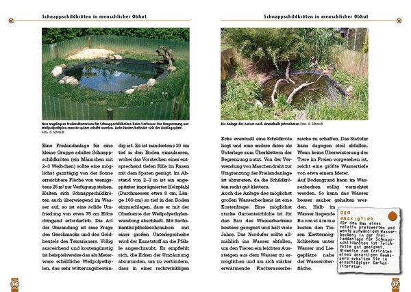 Produktbild: Die Schnappschildkr&ouml;te