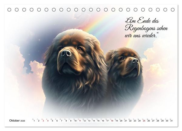 Produktbild: Hunde &uuml;ber der Regenbogenbr&uuml;cke (Tischkalender 2026 DIN A5 quer), CALVENDO Monatskalender