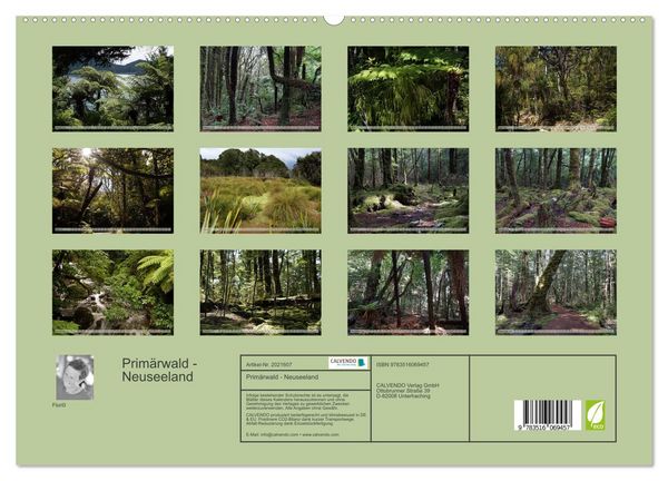Produktbild: Prim&auml;rwald - Neuseeland (hochwertiger Premium Wandkalender 2026 DIN A2 quer), Kunstdruck in Hochglanz