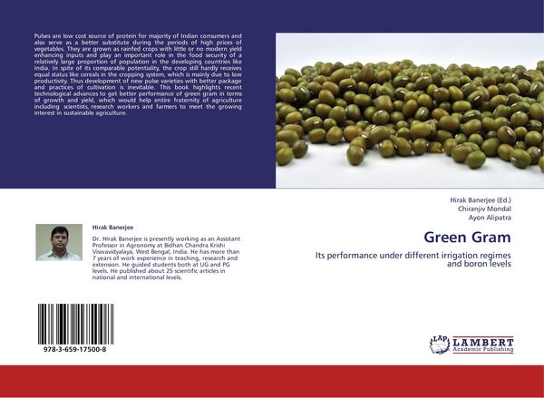 Produktbild: Green Gram