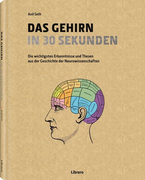Produktbild: Das Gehirn in 30 Sekunden