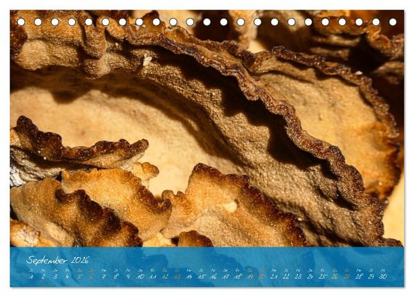 Produktbild: Natur abstrakt Farben und Strukturen (Tischkalender 2026 DIN A5 quer), CALVENDO Monatskalender