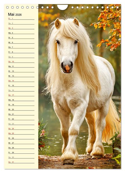Produktbild: Zauber der Ponys. Kleine Pferde in der Natur (Wandkalender 2026 DIN A4 hoch), CALVENDO Monatskalender