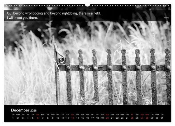 Produktbild: Through the Gate with Rumi (High Quality Premium Wall Calendar 2026 DIN A2 landscape),CALVENDO 12 Month Wall Calendar