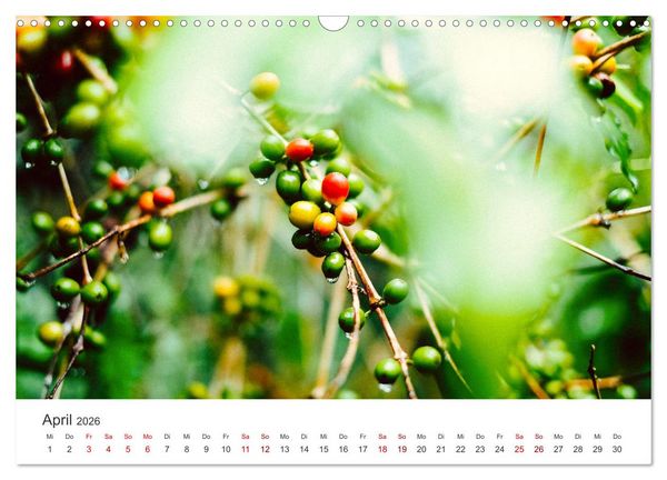 Produktbild: Kunterbuntes Guatemala (Wandkalender 2026 DIN A3 quer), CALVENDO Monatskalender
