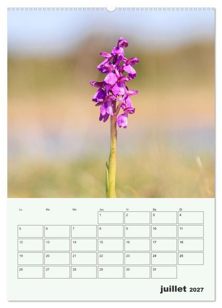 Produktbild: Fleurs en toute simplicit&eacute; - Beaut&eacute; minimaliste (Calendrier mural 2027 DIN A2 horizontal), CALVENDO calendrier mensuel