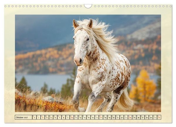 Produktbild: Knabstrupper Poesie. Gescheckte Eleganz im Farmsommer (Wandkalender 2027 DIN A3 quer), CALVENDO Monatskalender