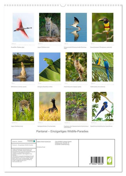 Produktbild: Pantanal &ndash; Einzigartiges Wildlife-Paradies (hochwertiger Premium Wandkalender 2026 DIN A2 hoch), Kunstdruck in Hochglanz