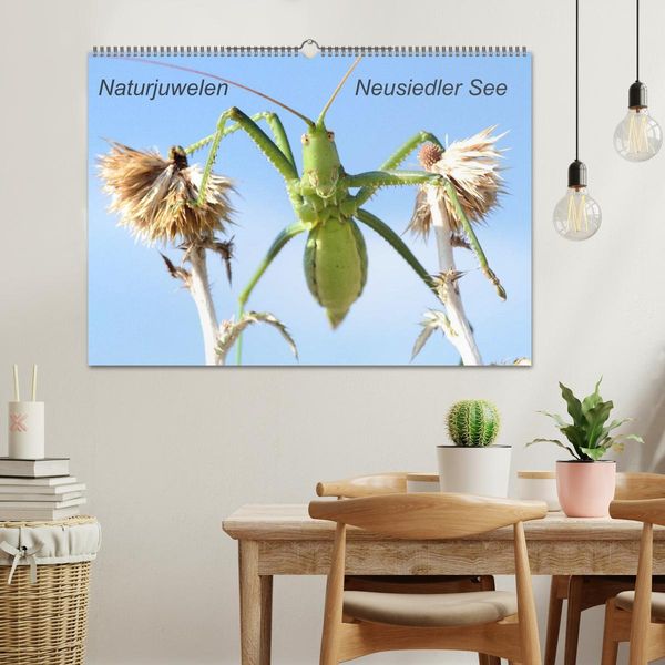 Produktbild: Naturjuwelen - Neusiedler See (Wandkalender 2026 DIN A2 quer), CALVENDO Monatskalender