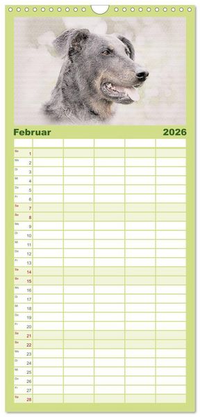 Produktbild: Familienplaner 2026 - Franz&ouml;sische Hirtenhunde 2026 mit 5 Spalten (Wandkalender, 21 x 45 cm) CALVENDO