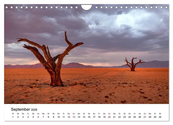 Produktbild: B&auml;ume in Namibias Landschaften (Wandkalender 2026 DIN A4 quer), CALVENDO Monatskalender