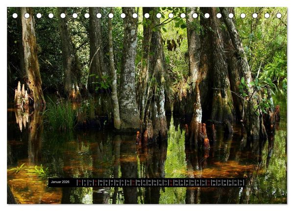 Produktbild: Florida Impressionen (Tischkalender 2026 DIN A5 quer), CALVENDO Monatskalender