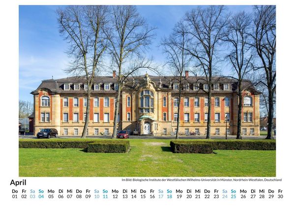 Produktbild: M&uuml;nster