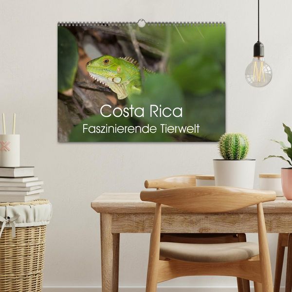 Produktbild: Costa Rica. Faszinierende Tierwelt (Wandkalender 2026 DIN A3 quer), CALVENDO Monatskalender