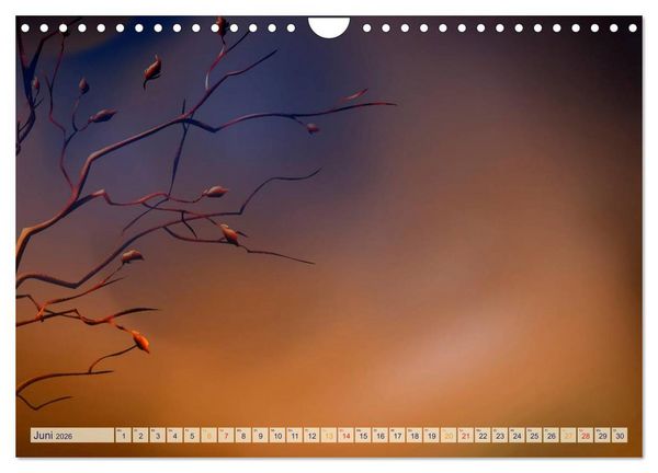 Produktbild: Kalender, Fotos selbst einkleben, selbst gestalten (Wandkalender 2026 DIN A4 quer), CALVENDO Monatskalender