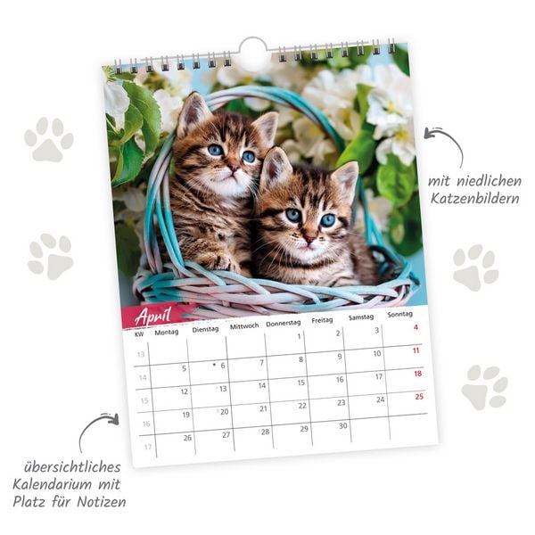 Produktbild: TR&Ouml;TSCH - Notizkalender zum H&auml;ngen Katzen 2027