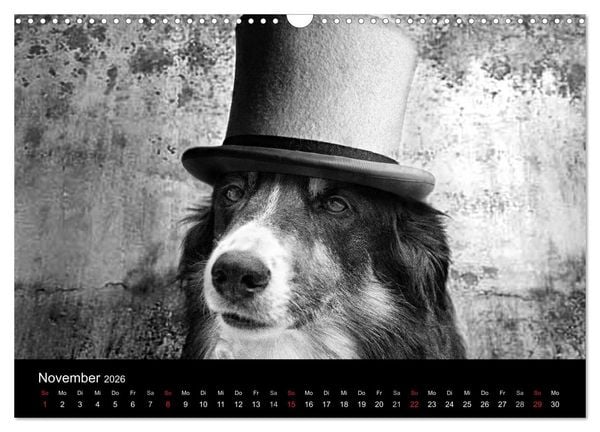 Produktbild: H&uuml;tehunde (Wandkalender 2026 DIN A3 quer), CALVENDO Monatskalender