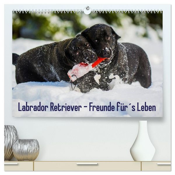 Labrador Retriever - Freunde für ́s Leben (hochwertiger Premium Wandkalender 2026 DIN A2 quer), Kunstdruck in Hochglanz