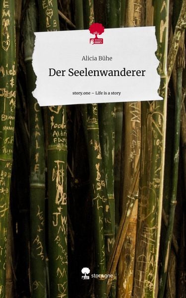 Produktbild: Der Seelenwanderer. Life is a Story - story.one