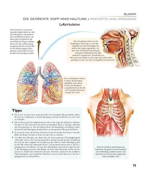 Produktbild: YOGA - Atlas der Anatomie