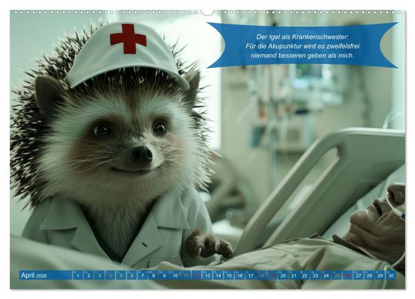 Produktbild: Tierisch lustige Krankenpfleger (hochwertiger Premium Wandkalender 2026 DIN A2 quer), Kunstdruck in Hochglanz