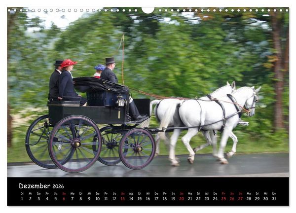 Produktbild: CIAT - Historischer Fahrsport in Celle (Wandkalender 2026 DIN A3 quer), CALVENDO Monatskalender