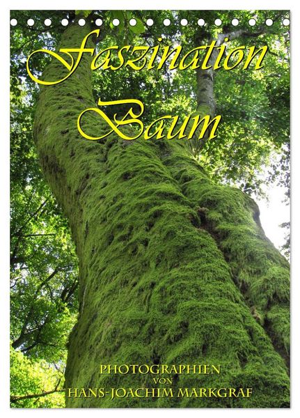 Produktbild: Faszination Baum (Tischkalender 2026 DIN A5 hoch), CALVENDO Monatskalender