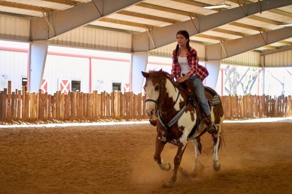 Charlies Pferd - Das Herz eines Champions