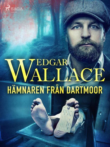Produktbild: H&auml;mnaren fr&aring;n Dartmoor