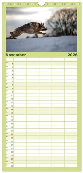 Produktbild: Familienplaner 2026 - POWERHUNDE 2026 mit 5 Spalten (Wandkalender, 21 x 45 cm) CALVENDO